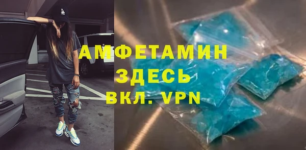прущие грибы Медногорск