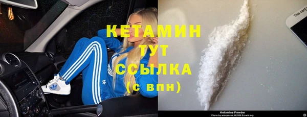 прущие грибы Медногорск