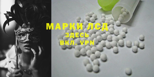 прущие грибы Медногорск