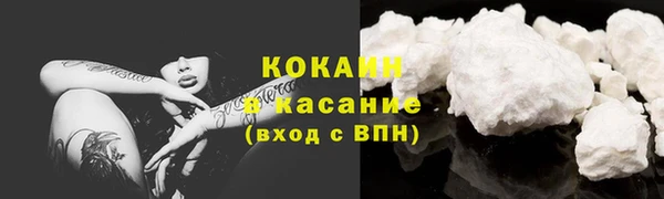 прущие грибы Медногорск