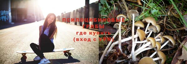 ГАЛЛЮЦИНОГЕННЫЕ ГРИБЫ Михайловск