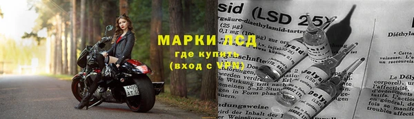 ГАЛЛЮЦИНОГЕННЫЕ ГРИБЫ Михайловск